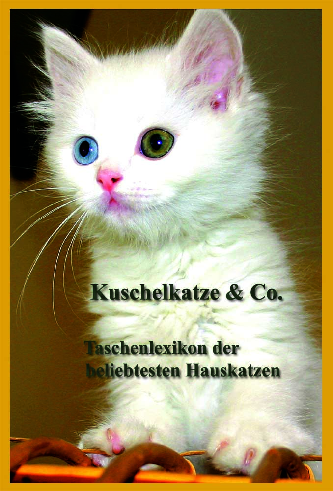 Kuschelkatze & Co.